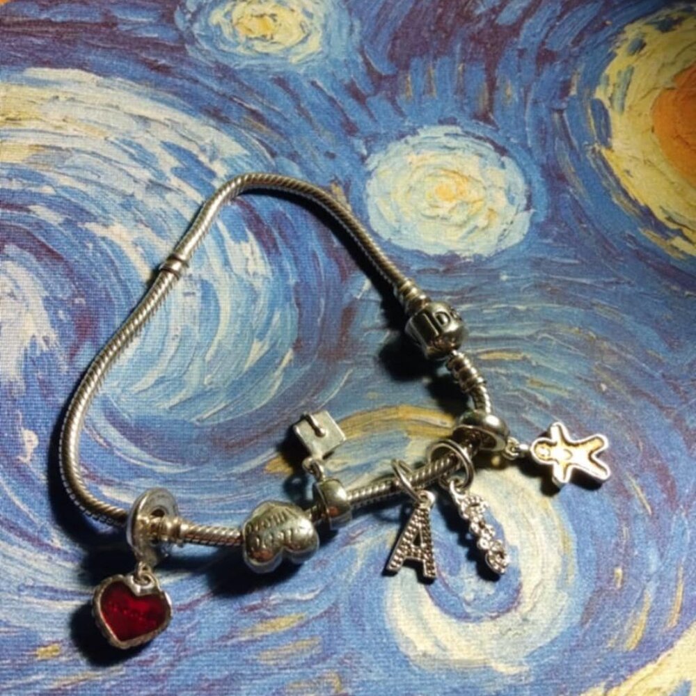 Pandora Bracelet with 6 Charms